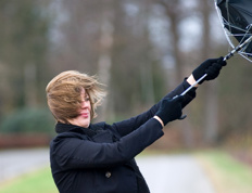 All on high winds and insurance